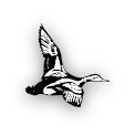 Bank Logo