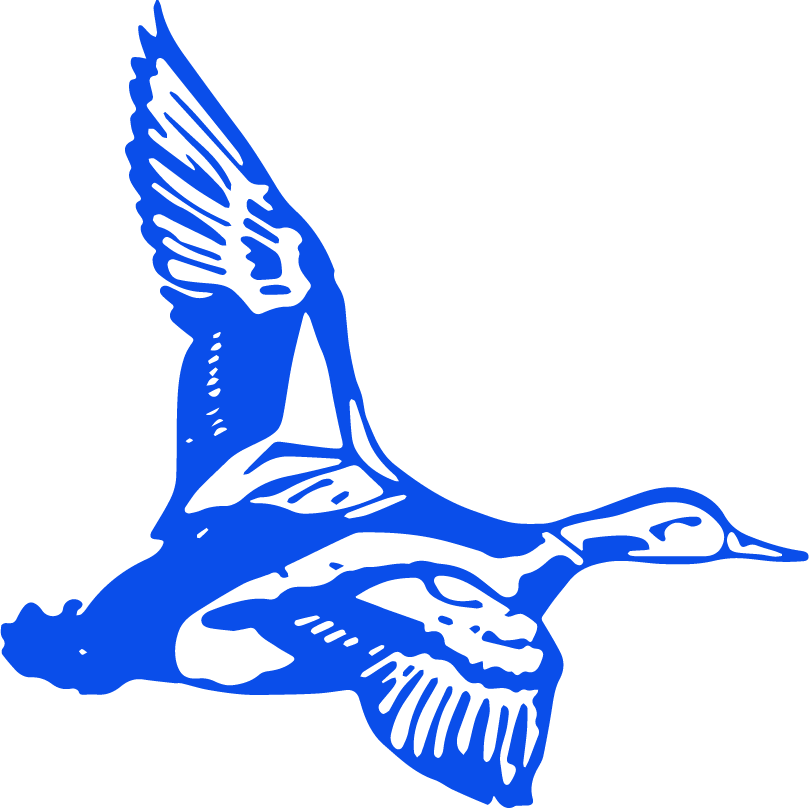 Bank Logo